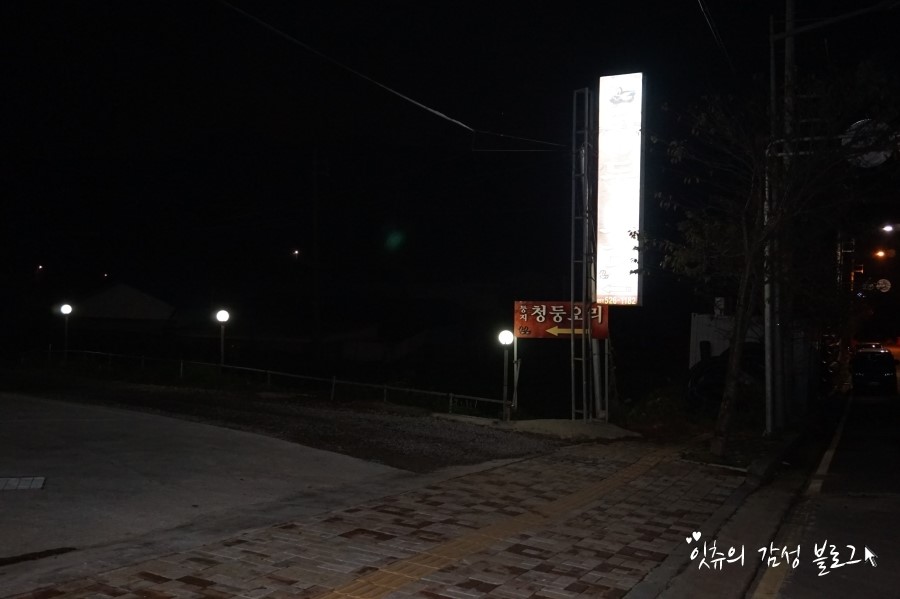 둥지생오리 이미지