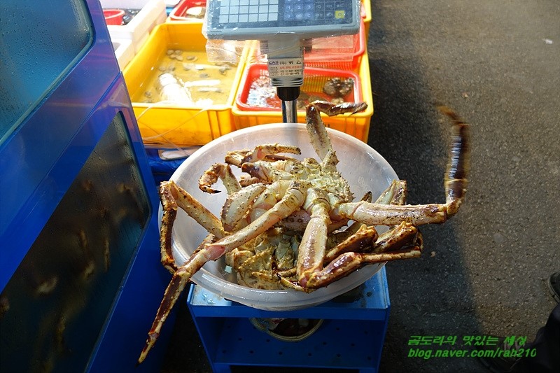 진수산 이미지