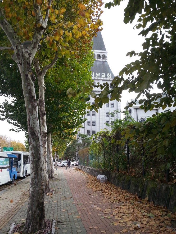 동북자전거 이미지