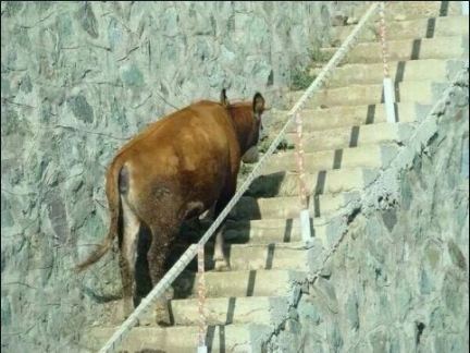 사진첩이야기 이미지