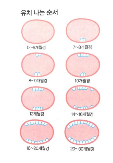 연세림치과 이미지