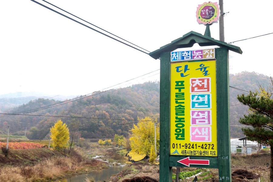 푸른솔염색 이미지