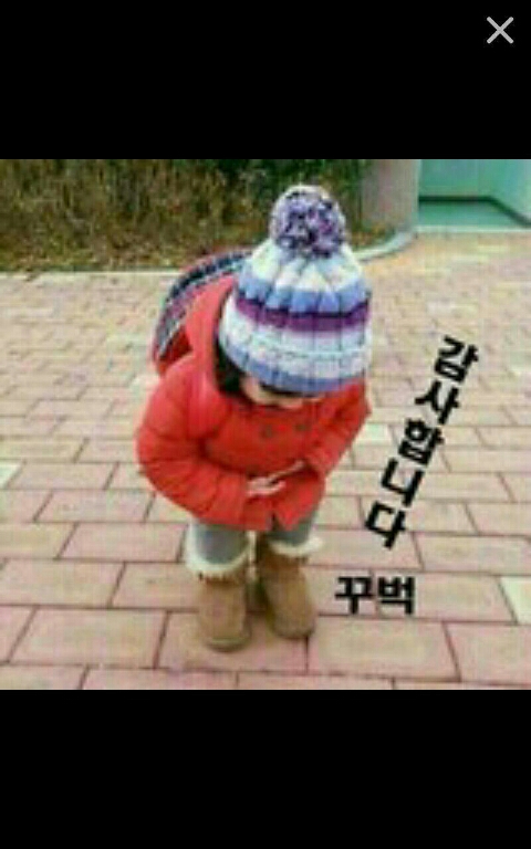 돼지마을 이미지
