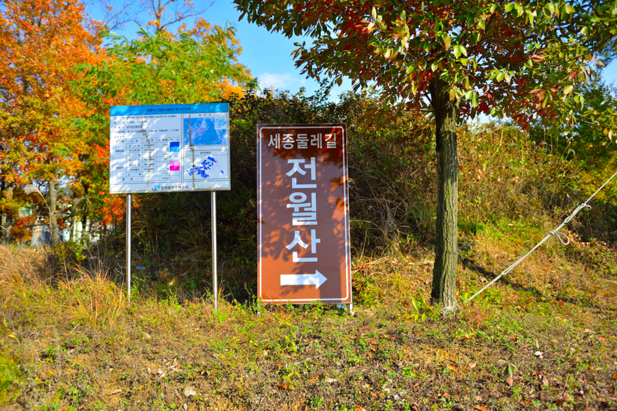푸른솔염색 이미지