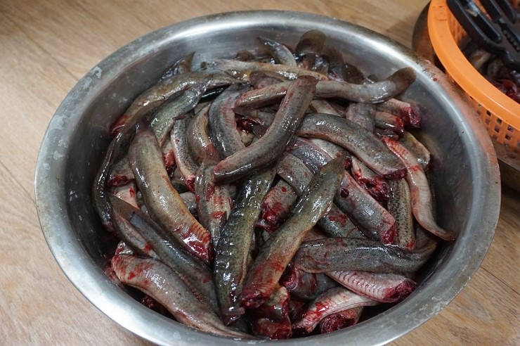 사계절보신탕 이미지