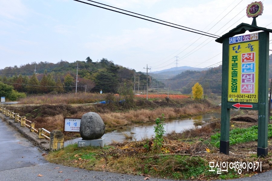 푸른솔염색 이미지