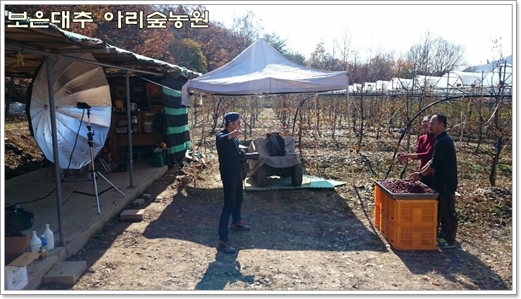 보은대추아리숲농원 이미지