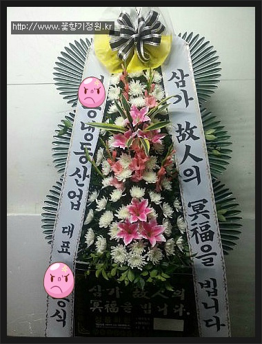 모레아장례식장 이미지