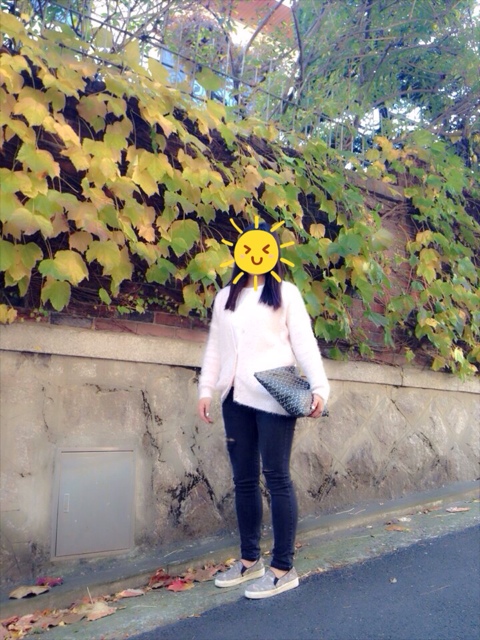 로이지르 이미지