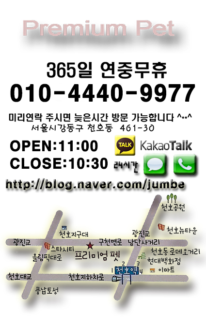 빠삐욘 이미지