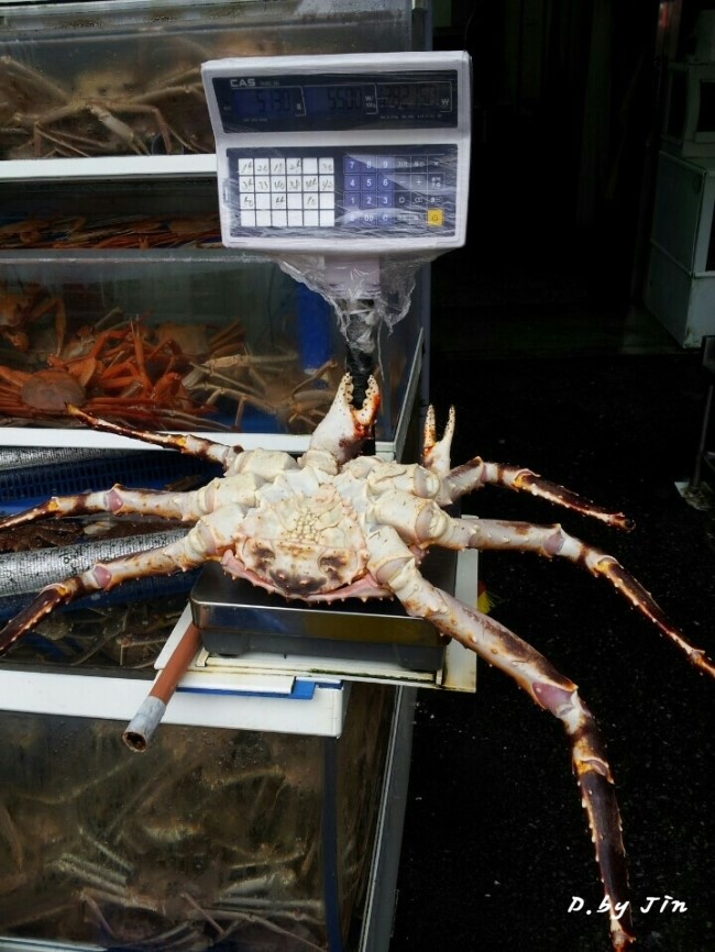 기장시장청해대게 이미지