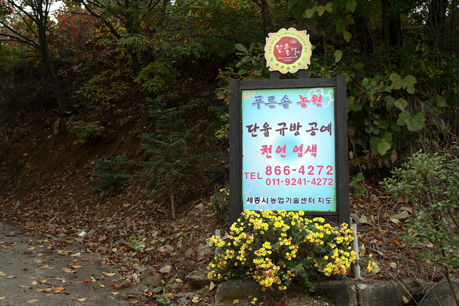 푸른솔염색 이미지