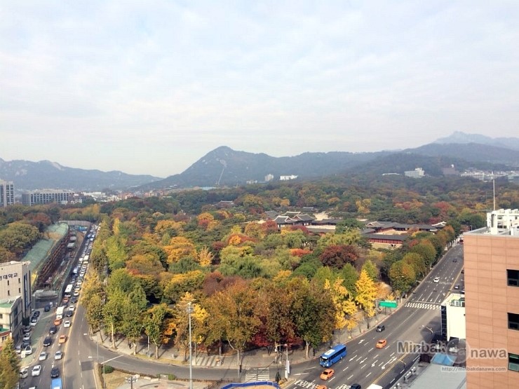 지도다나와 이미지