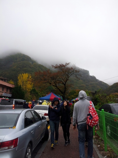 축령산편백하우스 이미지
