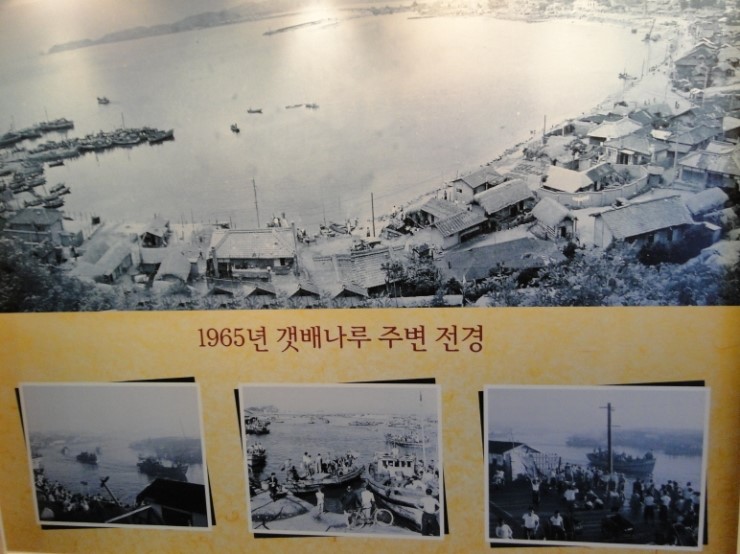 태양식품 이미지