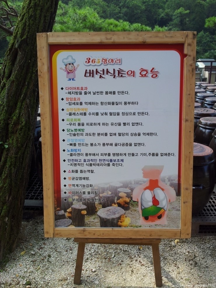 열두개울버섯마을 이미지