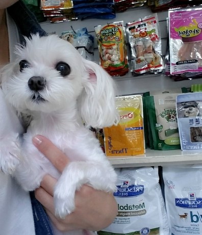 청담유노추보 이미지