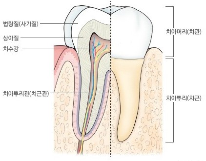 굿치과 이미지