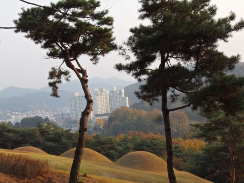 참나무 숲길 이미지