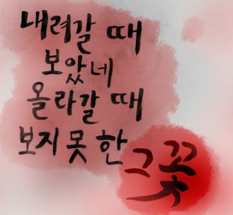 고은;꽃 이미지
