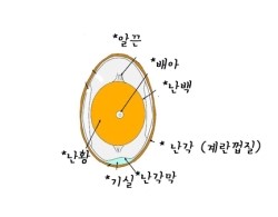 듀숑 이미지