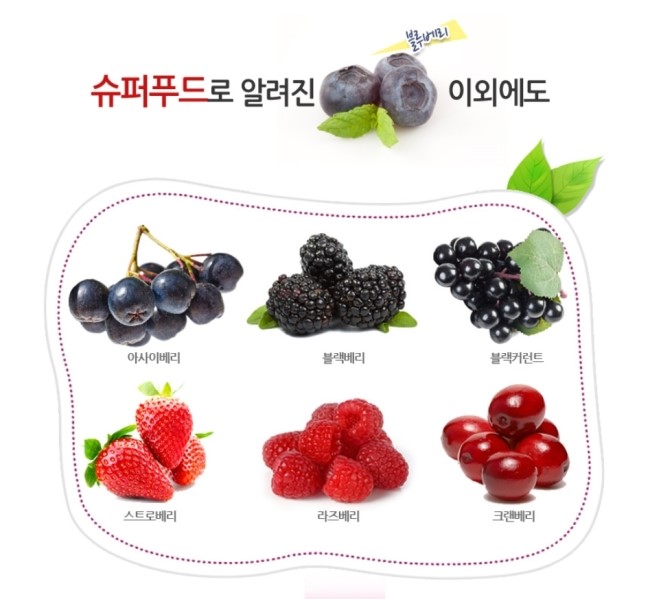 디스토리 이미지
