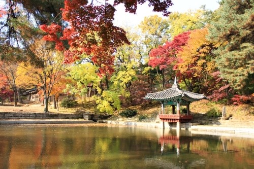 우리나라투어 이미지
