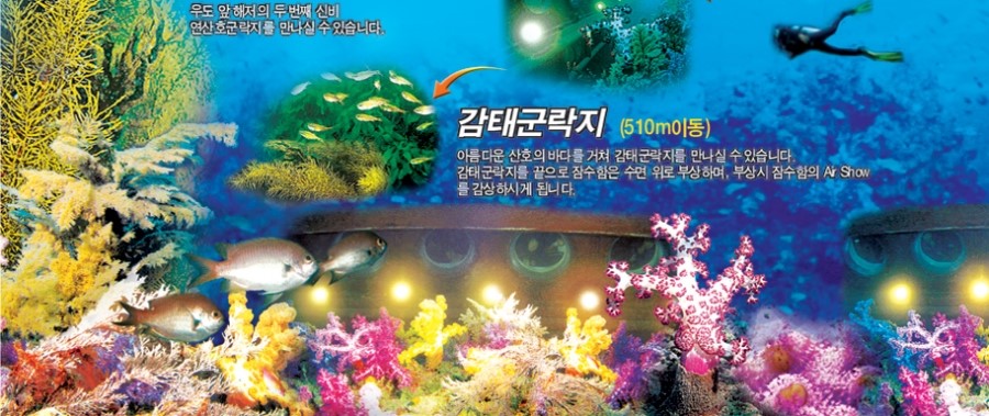 우도고고씽 이미지