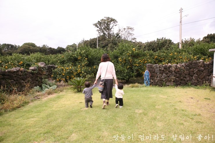 어야가자 이미지