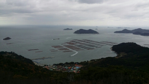 섬전복영어조합법인 이미지