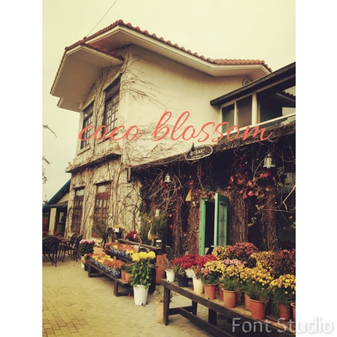 코코블라썸 이미지