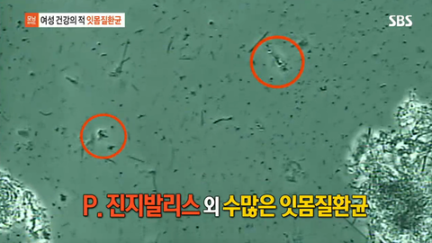 프로젝트K 이미지