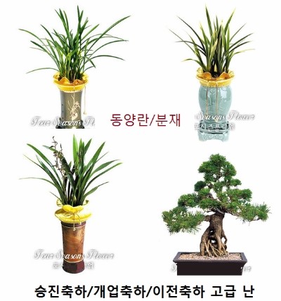 우림BYC 이미지