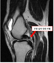 성모메디트레이닝센터 이미지