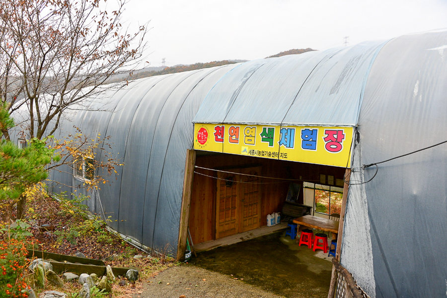푸른솔염색 이미지