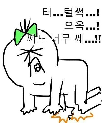 용두쭈꾸미 이미지