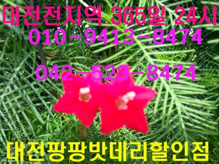 전진자동차배터리 이미지