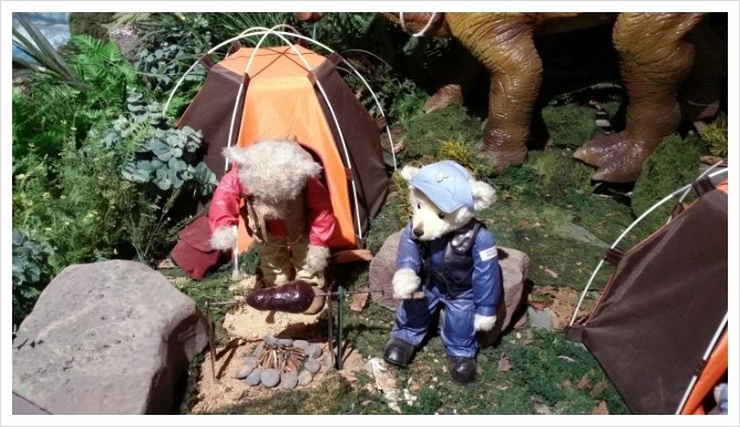 총각갈매기 이미지