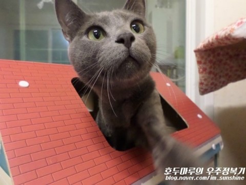 너와나이벤트 이미지