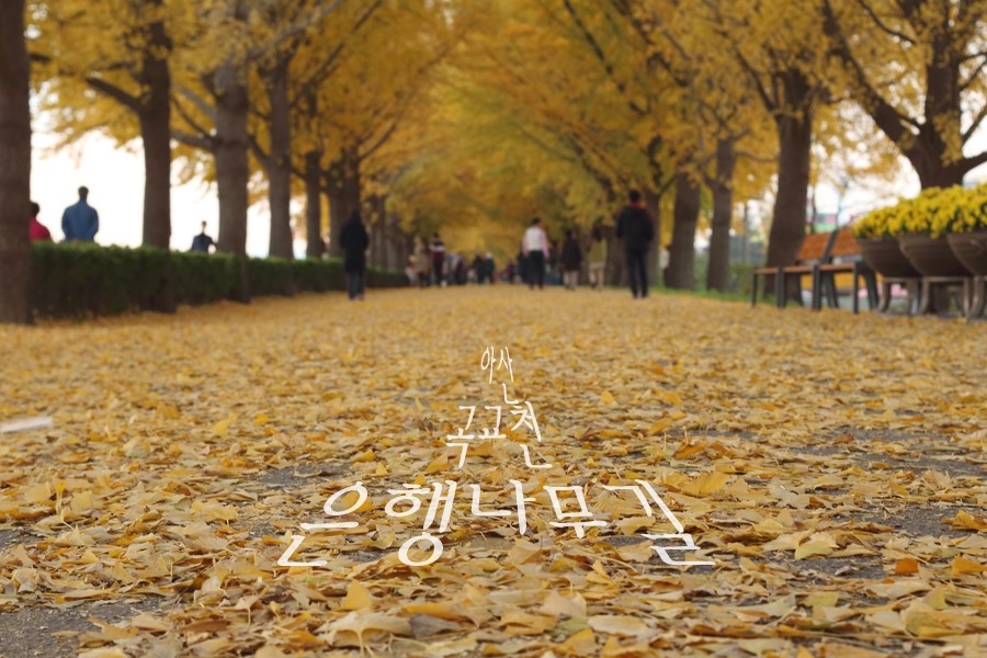 민들레주유소 이미지