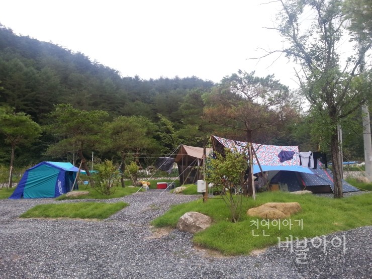 두산분교 캠핑장 이미지