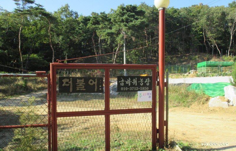 금바위농장 이미지