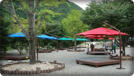 장령산자연휴양림 야영장 이미지