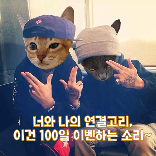 너와나이벤트 이미지