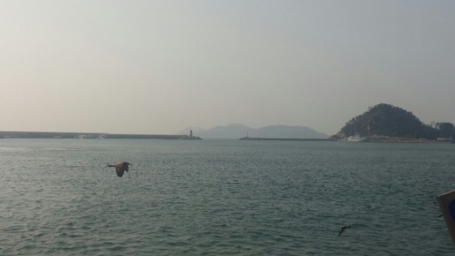 신성수산 이미지