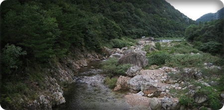 장령산자연휴양림 야영장 이미지
