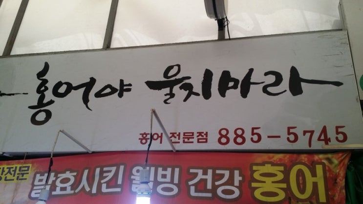홍어야울지마라 이미지