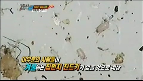 우진CS 이미지
