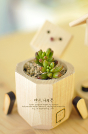은영꽃화원 이미지