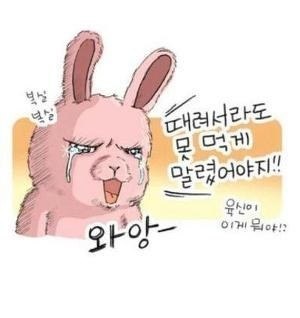 뎐벼락막창 이미지
